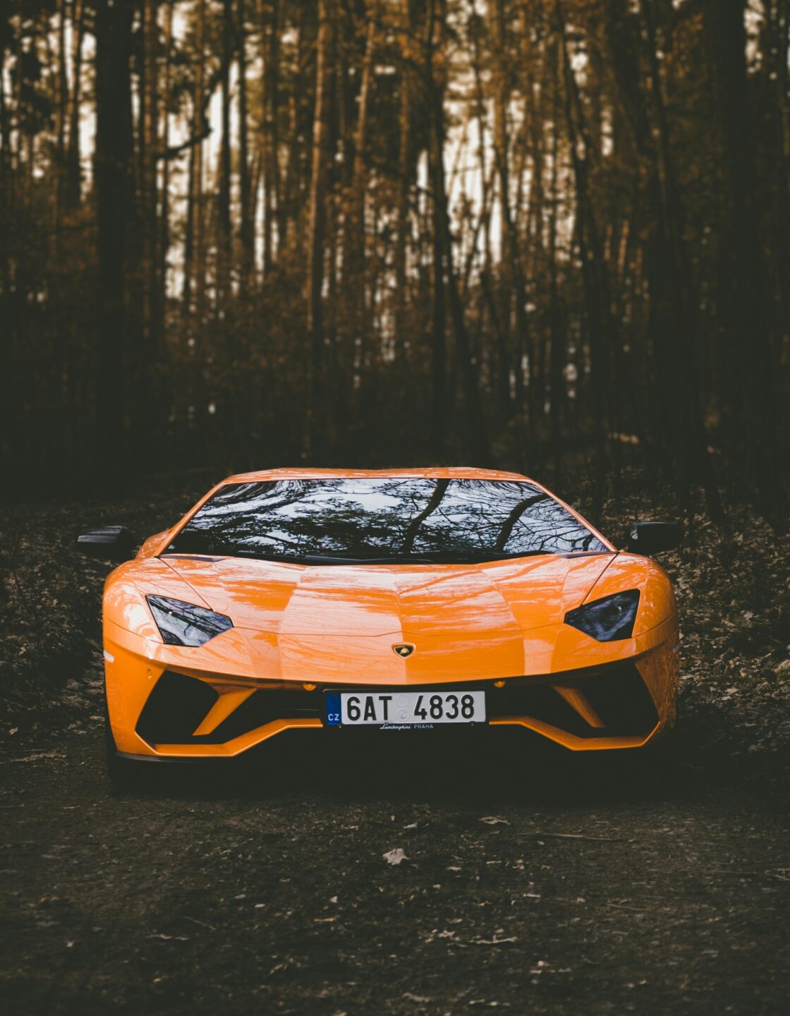 Orange sports car parked in a forest with trees in the background.